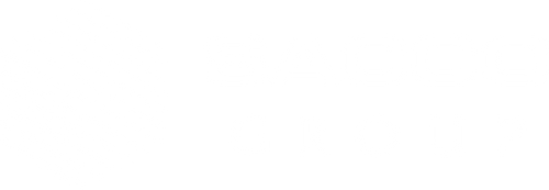 saccogroup.it